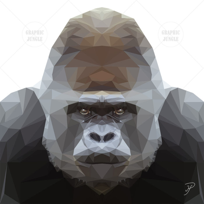 07 GORILLA SQUARE WHITE