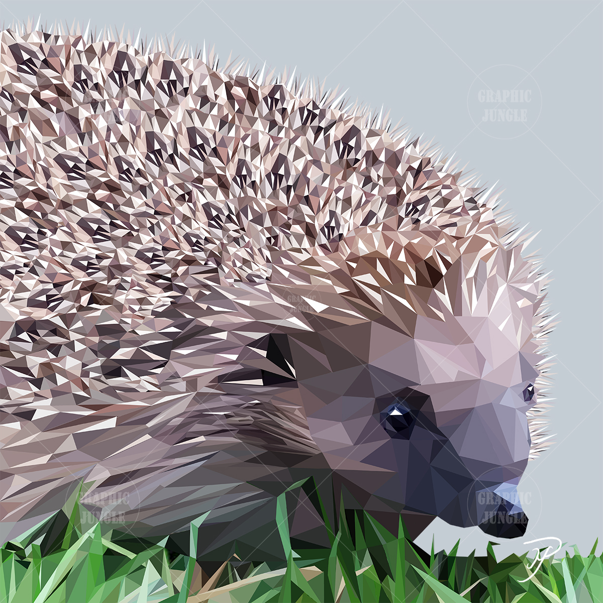 Hedgehog - Graphic Jungle