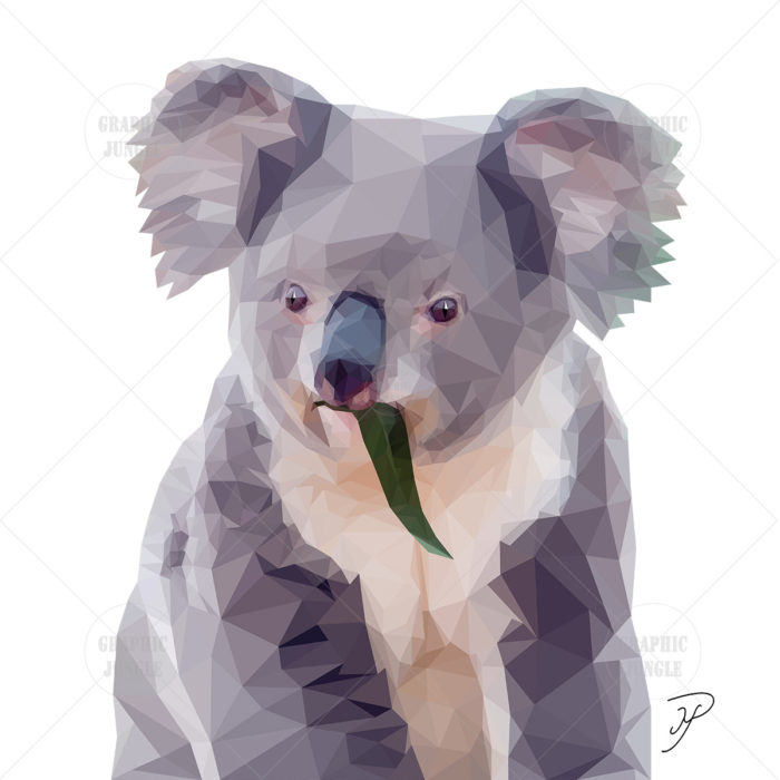 27 KOALA SQUARE WHITE
