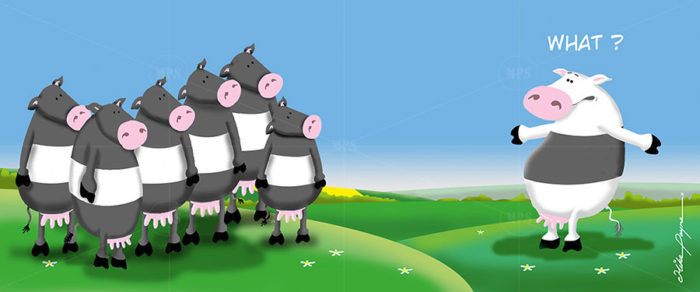 Just 4 Mooo 002
